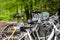 A bike rack filled with white bikes on a hiking trail filled with fallen autumn leaves surrounded by lush green trees