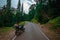 Bike Rider at Ukhimath - Chopta Road, Uttrakhand, india, Date -