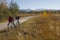 Bike route through isar floodplain, autumnal grassland and fores