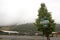 Bike route sign near rodeo grounds, Jackson, Wyoming.