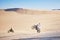 Bike, sand and freedom with people in the desert for adrenaline, adventure or training in nature. Moto, sports and