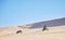 Bike, sand and race with people in the desert for adrenaline, adventure or training in nature. Sports, energy and