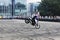 Bike stoppie motorcycle stunt rider acrobatics
