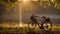 Bike with sunrise on the Saône