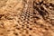 Bike tire tracks on muddy trail royalty. Tire tracks on wet muddy road, abstract background, texture material.