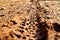 Bike tire tracks on muddy trail royalty. Tire tracks on wet muddy road, abstract background, texture material.