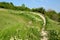 Bike track trail bends tilted jumps in meadow trail enduro meadow downhill racing enduro bicycle sport mountain summer alpen