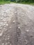 Bike, tractor, excavator, car, automotive tire tracks on muddy trail. Mud and wheel trace on road after rain.