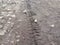 Bike, tractor, excavator, car, automotive tire tracks on muddy trail. Mud and wheel trace on road after rain.