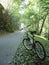 Bike trail into light