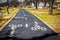 Bike trail with two lanes and bike icons in park through trees with apartments and cars in the background - Grainy blacktop and