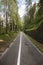 Bike and Walking Footpath among Trees of Italian Alps Mountains