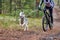 Bikejoring dog mushing race