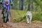 Bikejoring dog mushing race