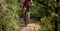 Biker cycling on summer forest trail