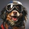 Biker dog wearing motorcycle goggles and crash helmet