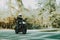 Biker In Helmet Is Riding On Highway In A Forest