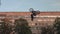 Biker jumps and does backflip. City building and sky are on background.