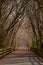 Biker Rides Crushed Stone Path Bridge at Henlopen State Park`s Junction