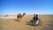 Bikers and camels in desert