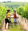 Bikers in vineyard