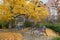 Bikes on Fall College Campus