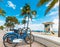 Bikes parked on Fort Lauderdale seafront