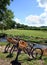 Bikes in a vineyard