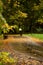 Biking in colorful autumn park during rain