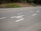 Biking lane symbol in street with logo with no traffic