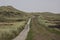 Biking road through the dunes of the Wadden Isle of Vlieland