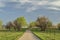 Biking trail in Colorado foothills