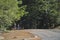 Biking up to the hill in Mountain Tamalpais