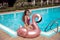 bikini girl model enjoying on inflatable giant pink flamingo pool float mattress in fashion swimwear. Attractive tanned woman