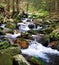 Bila Opava river in Jeseniky mountains