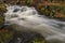 Bila Opava river in Jeseniky mountains in spring morning