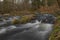 Bila Opava river in Jeseniky mountains in spring morning