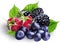 Bilberries, blueberries, raspberries and blackberries ,isolated