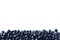 Bilberries on white background. Background blueberries. Ripe bilberries at border of image with copy space for text. Various fresh