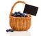 Bilberry in a basket