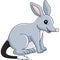 Bilby Animal Cartoon Colored Clipart Illustration