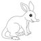 Bilby Animal Coloring Page Isolated for Kids