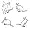 Bilby Animal Vector Illustration Hand Drawn Cartoon Art