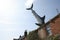 Bill Heine`s Shark in a roof statue in Headington, Oxford in the UK