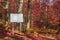 A billboard in scenic autumnal forest with fallen red leaves, sunlight, shadows and green grass and moss on the ground.