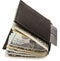 Billfold wallet credit card banknotes isolated white