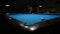 Billiard snooker pool long shot