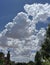 Billowing Clouds in Neighborhood Skies