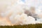 Billowing Fire Clouds in Yellowstone Park