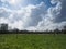 Billowing white cumulus clouds above a green meadow